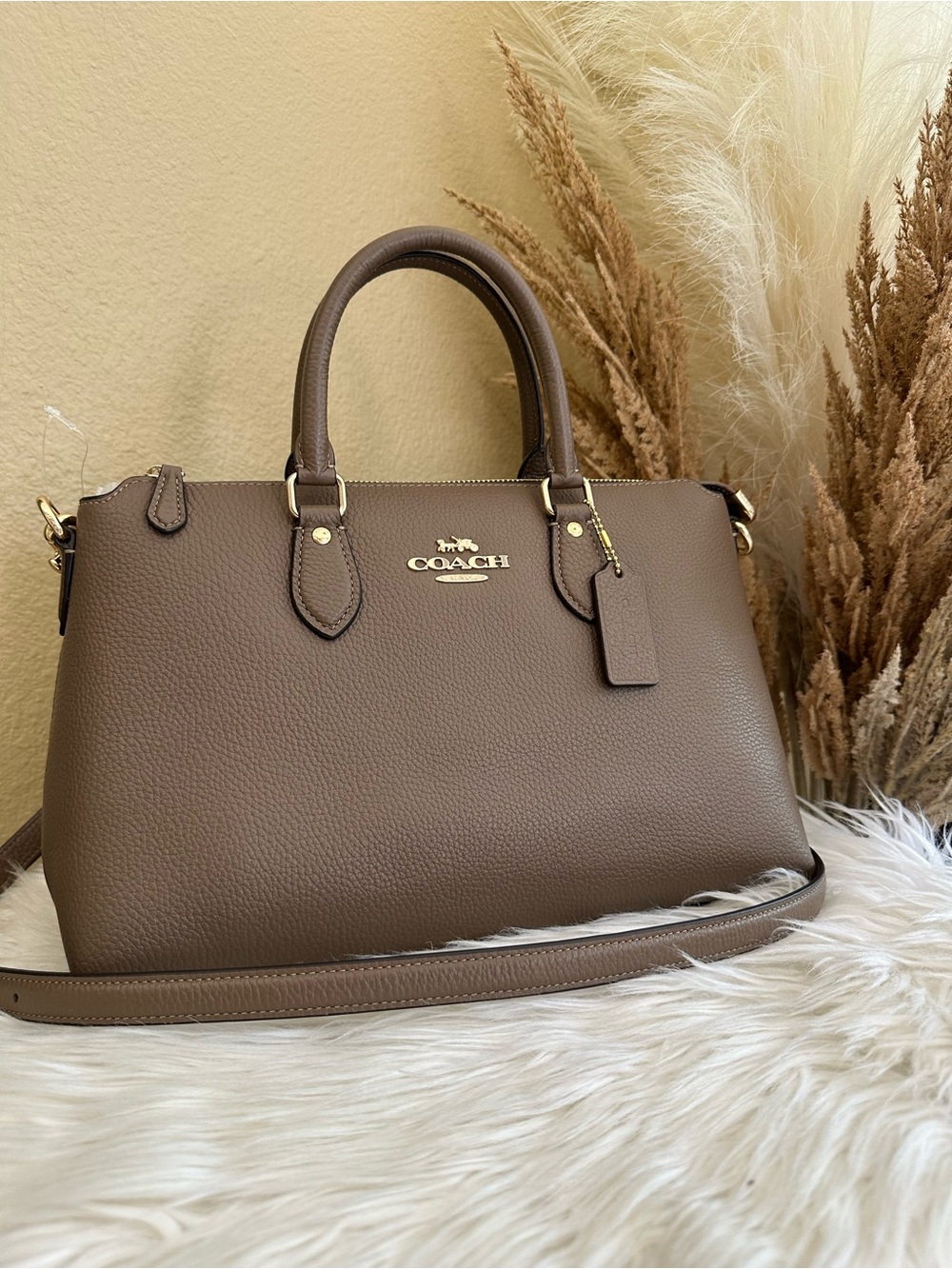 Coach Georgia Satchel Bag